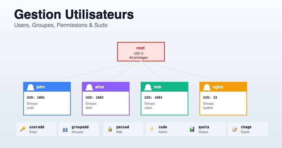 Gestion utilisateurs Linux 2026 : useradd, groupes, sudo et quotas complet