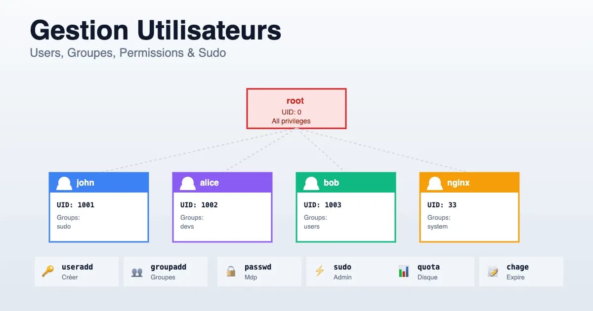 Gestion utilisateurs Linux 2026 : useradd, groupes, sudo et quotas complet