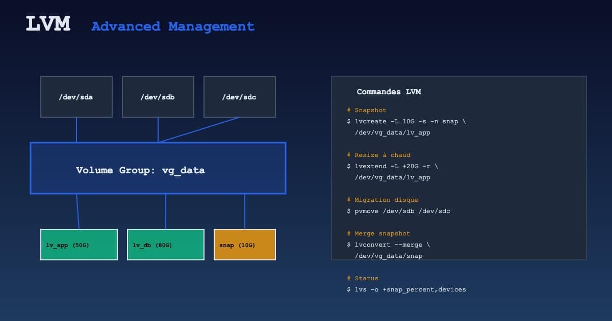 LVM avancé : snapshots, resize à chaud et migration sans downtime