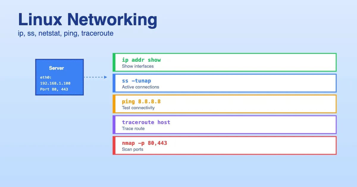 Réseau Linux 2026 : ip, ss, netstat, traceroute et diagnostic réseau complet